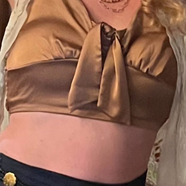 Bronze Crop Corset Top